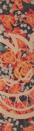 SPITFIRE BIGHEAD FLORAL CLEAR SINGLE SHEET 9X33