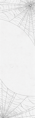 PVBLIC DOMAIN GRIP 9x33 RAGDOLL'S WEB WHITE