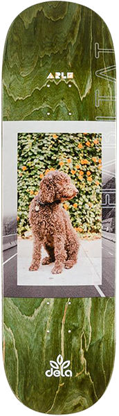 HABITAT DELATORRE EYE LEVEL 1 DECK-8.12 *sale*